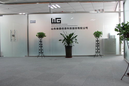 山东维固信息科技股份