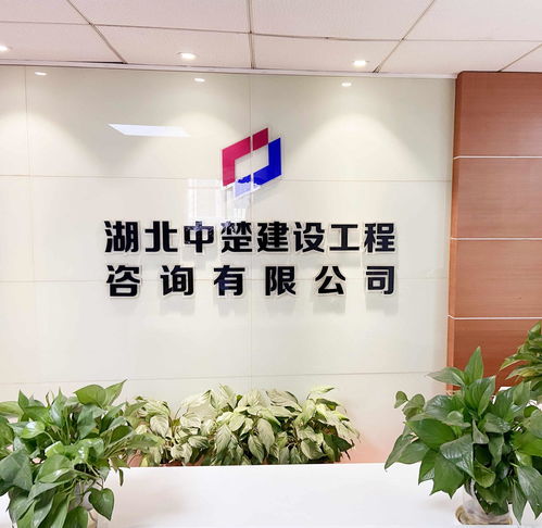 湖北中楚建设工程咨询