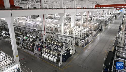 活力中国调研行 福建 向 新 逐 智 ,传统产业长 新枝