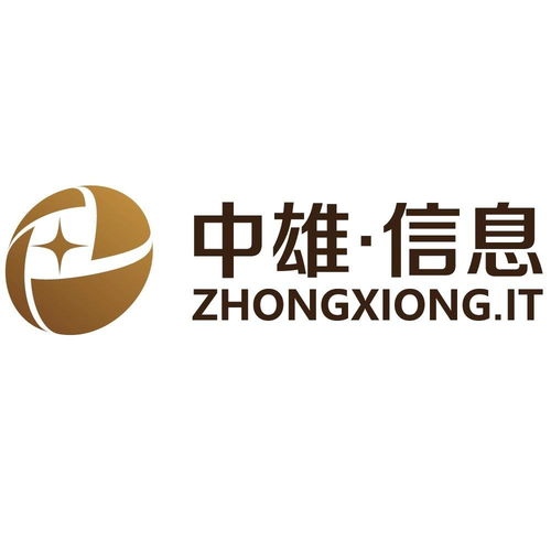 中雄荆州信息科技公司 区域数字经济的新兴力量