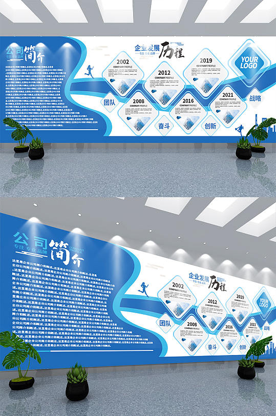 公司发展规划 迈向卓越的蓝图